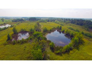 Miami County, Indiana farmland - REAL ESTATE AUCTION - 72.5+/- ACRES OFFERED IN 4 TRACTS IN MIAMI COUNTY, INDIANA